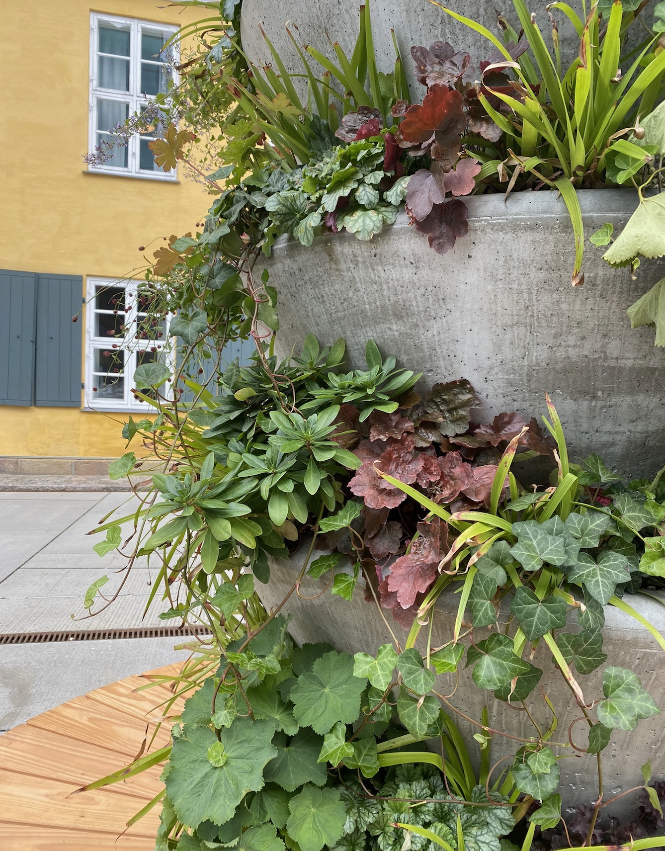 Urban Tree planter