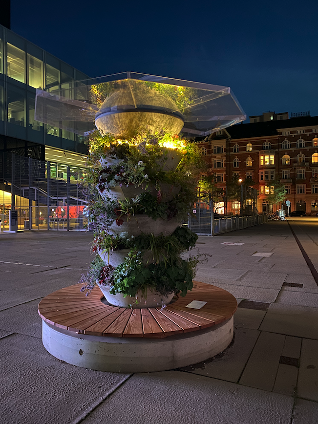 Urban Tree_lys